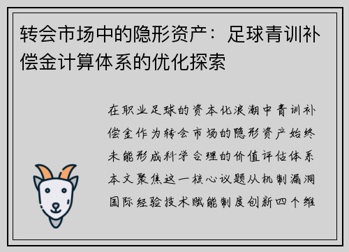 转会市场中的隐形资产：足球青训补偿金计算体系的优化探索