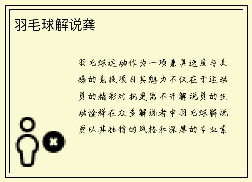 羽毛球解说龚